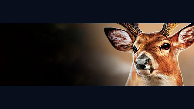 Cabela's Big Game Hunter: Trophy Bucks