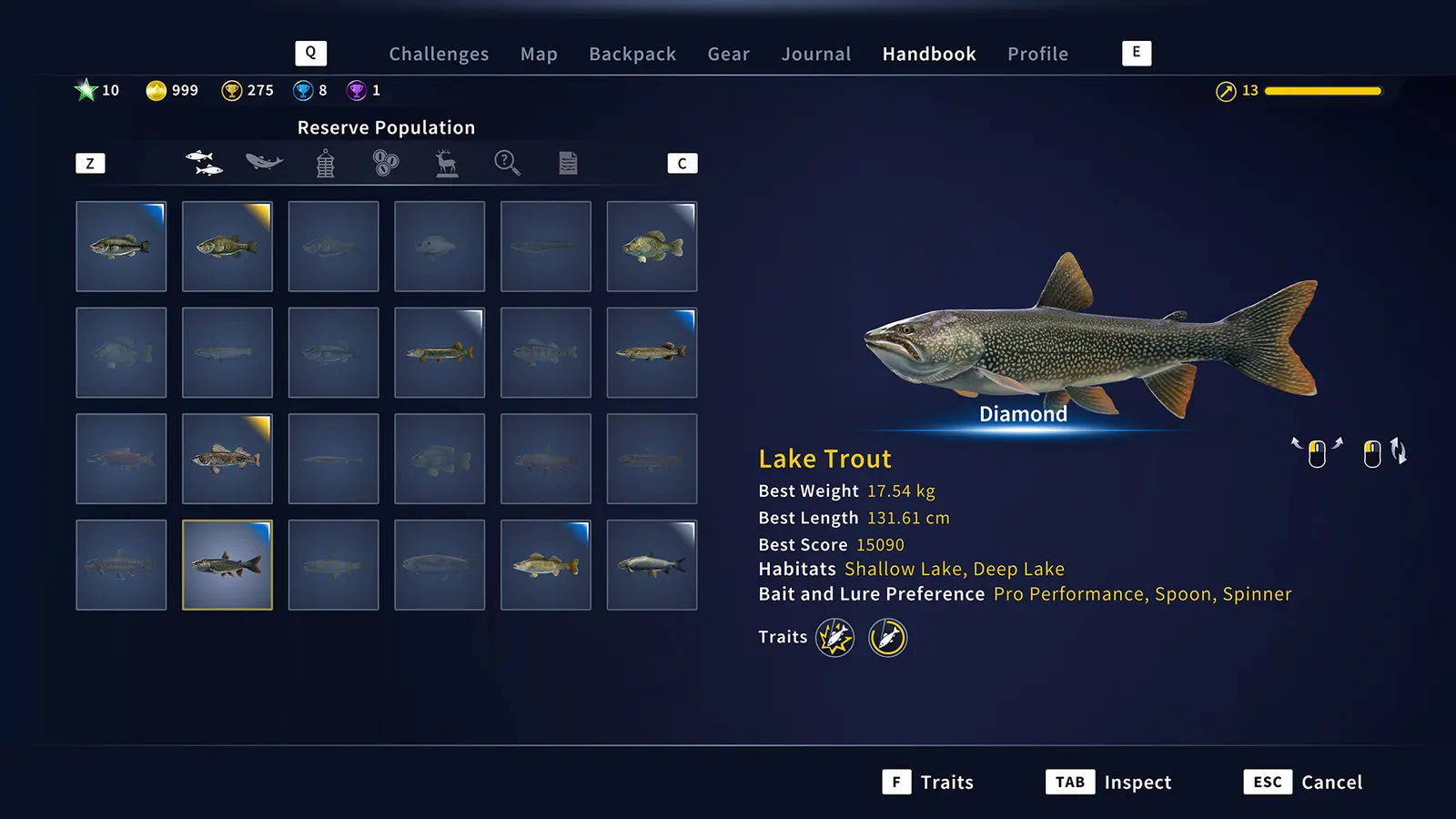 Call of the Wild: The Angler™ media 11