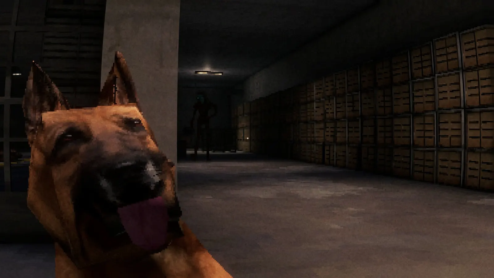 CANINE media 2
