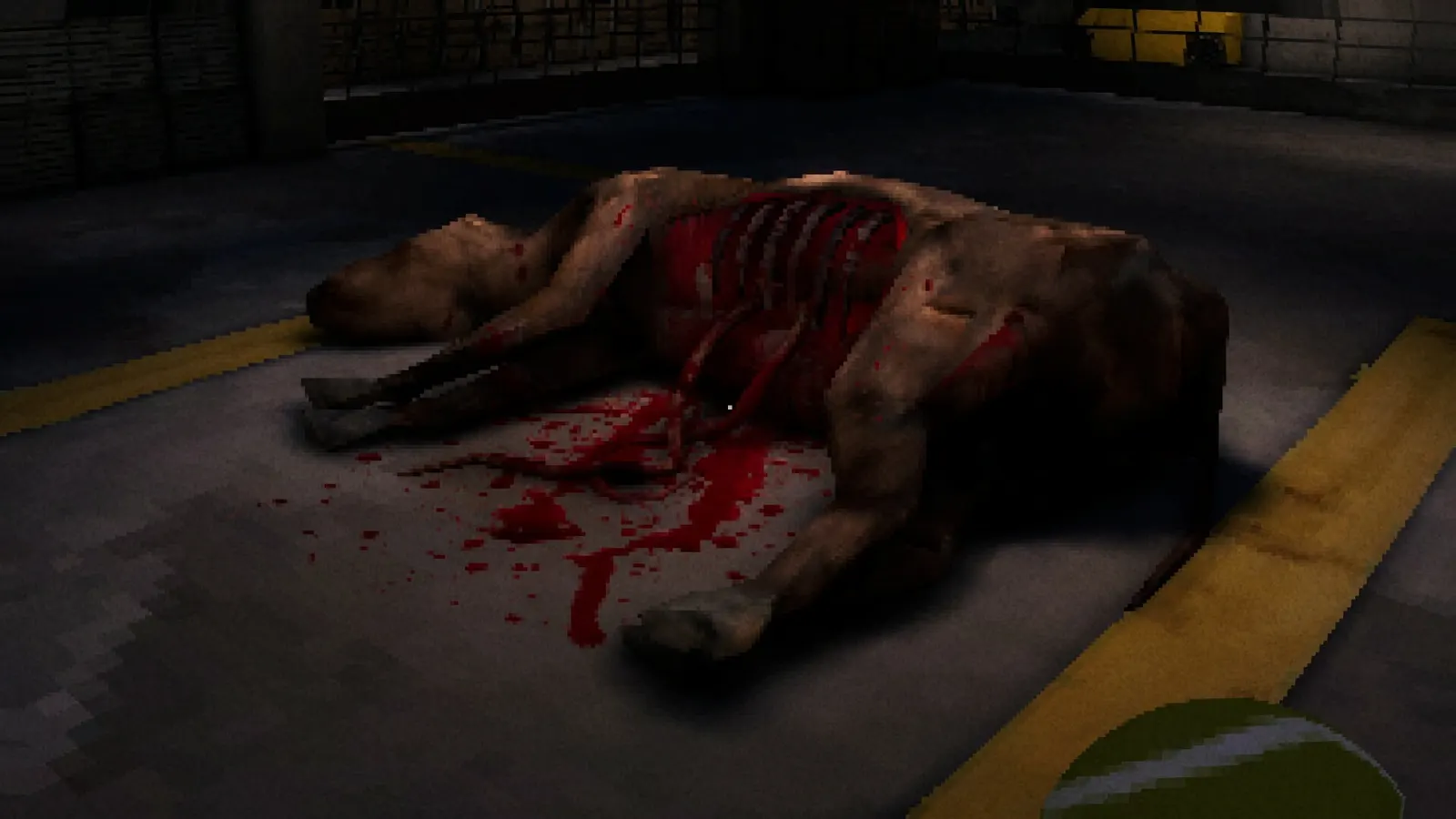 CANINE media 5