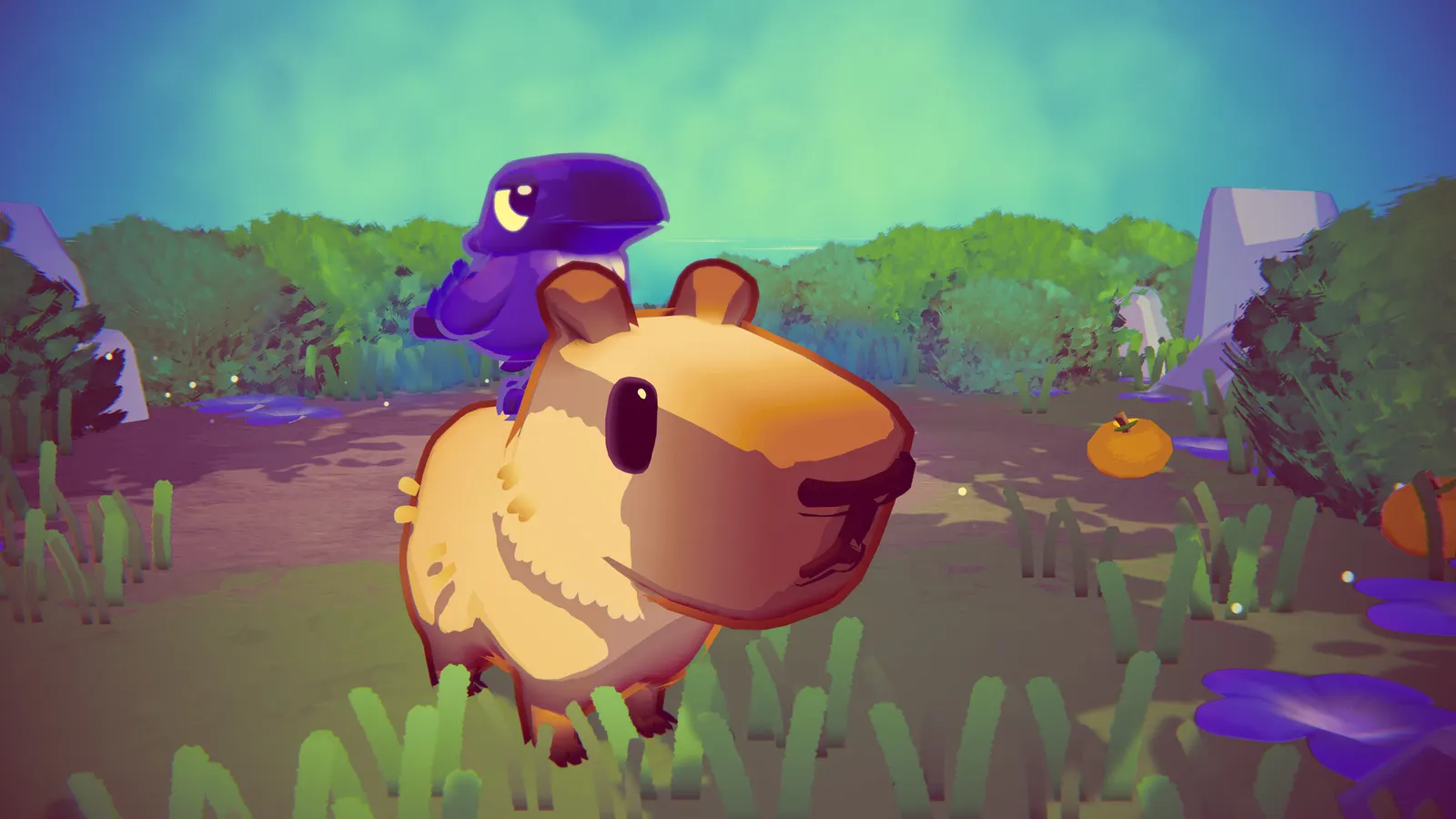Capy Castaway media 6