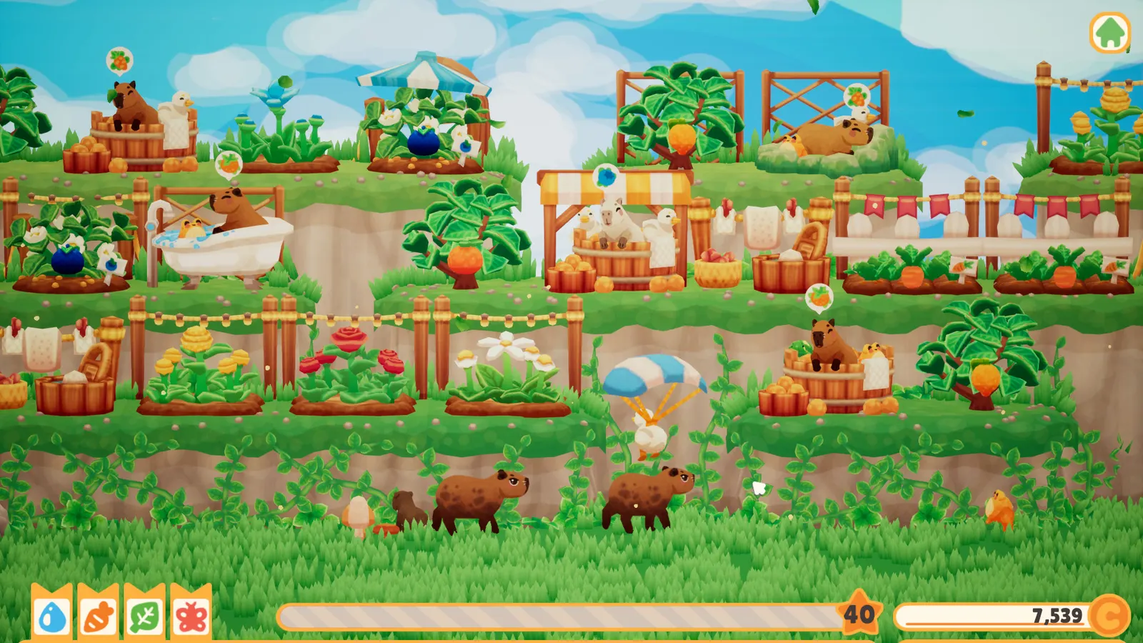 Capybara Spa media 7