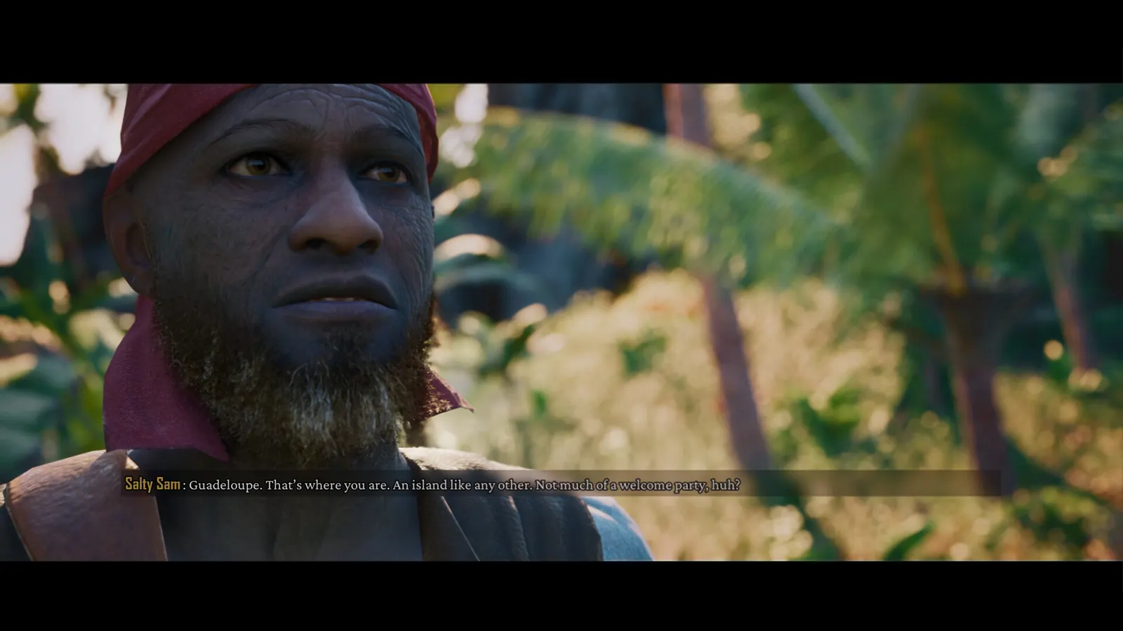 Caribbean Tide media 9