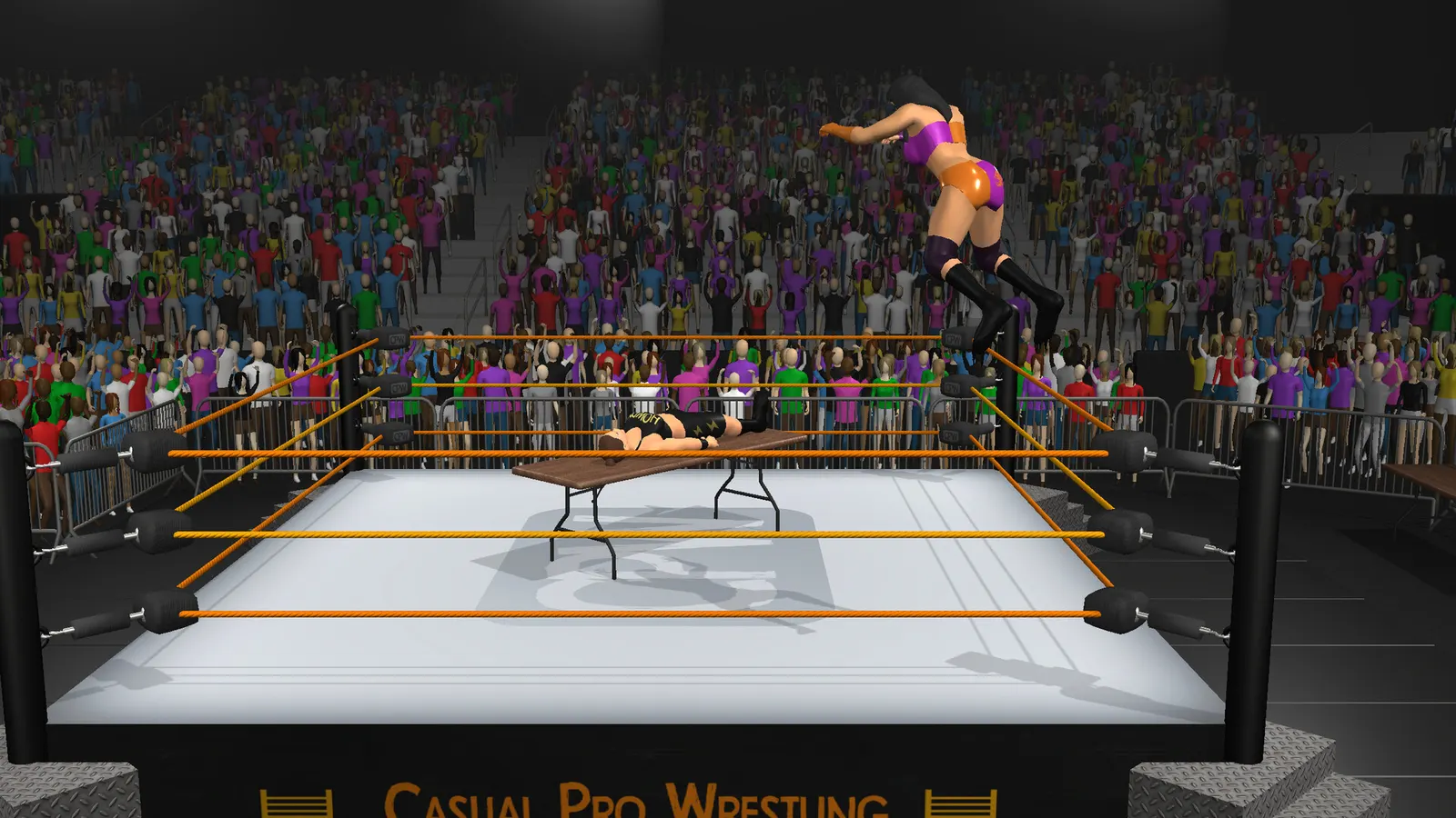 Casual Pro Wrestling media 3