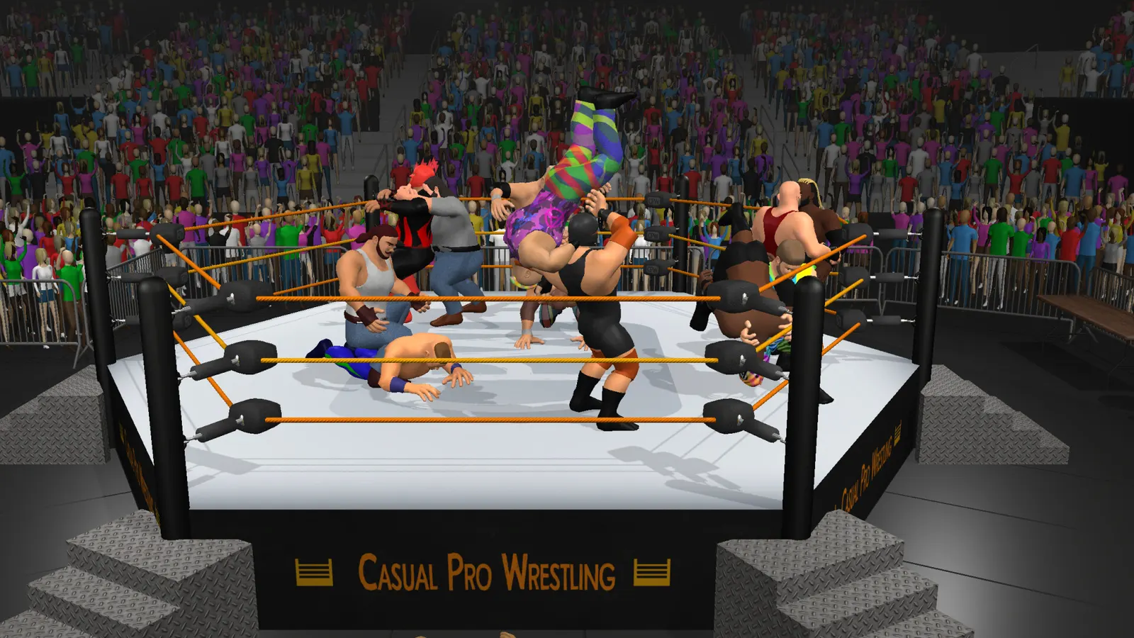 Casual Pro Wrestling media 5