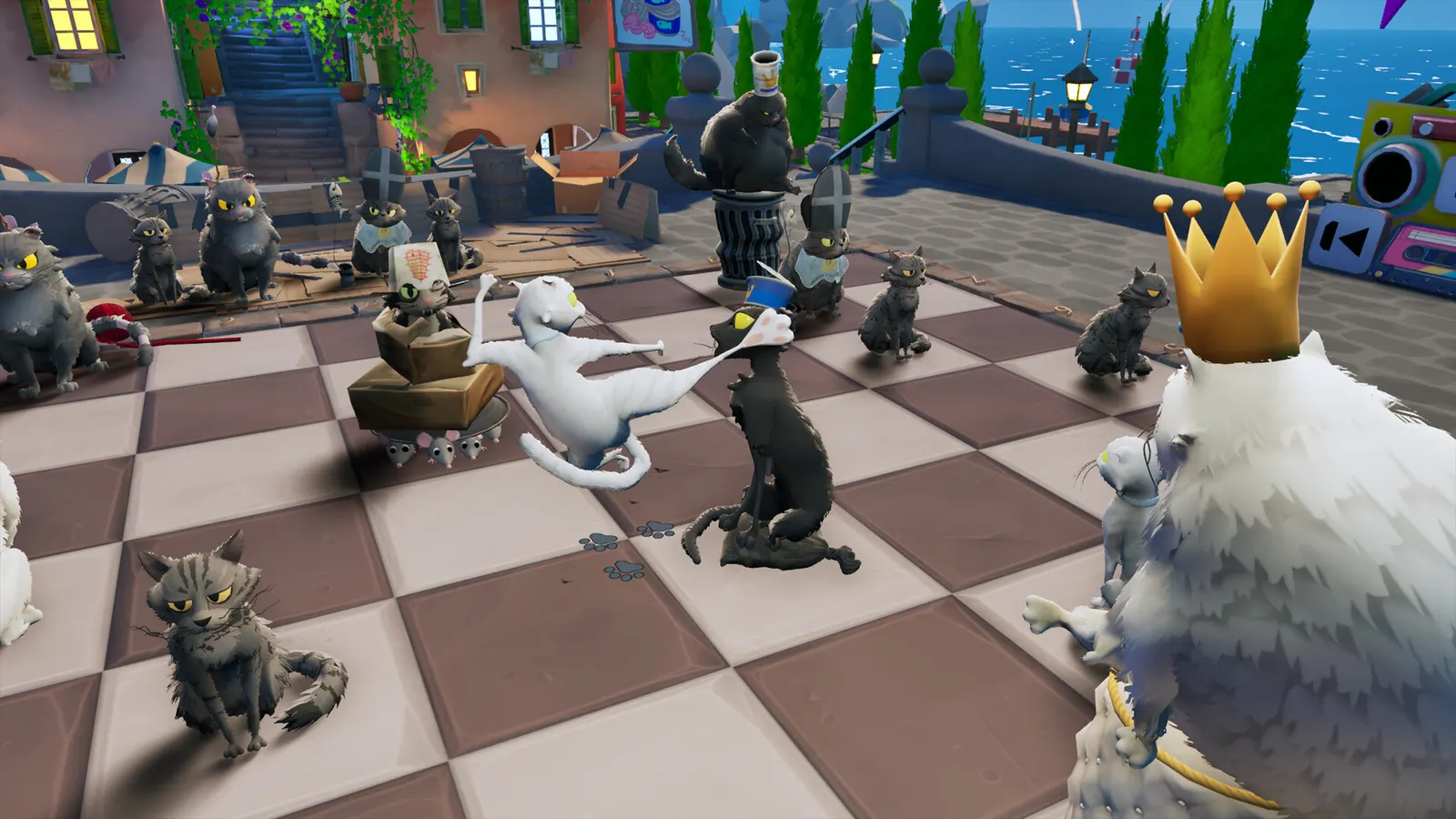 Cat Chess media 9