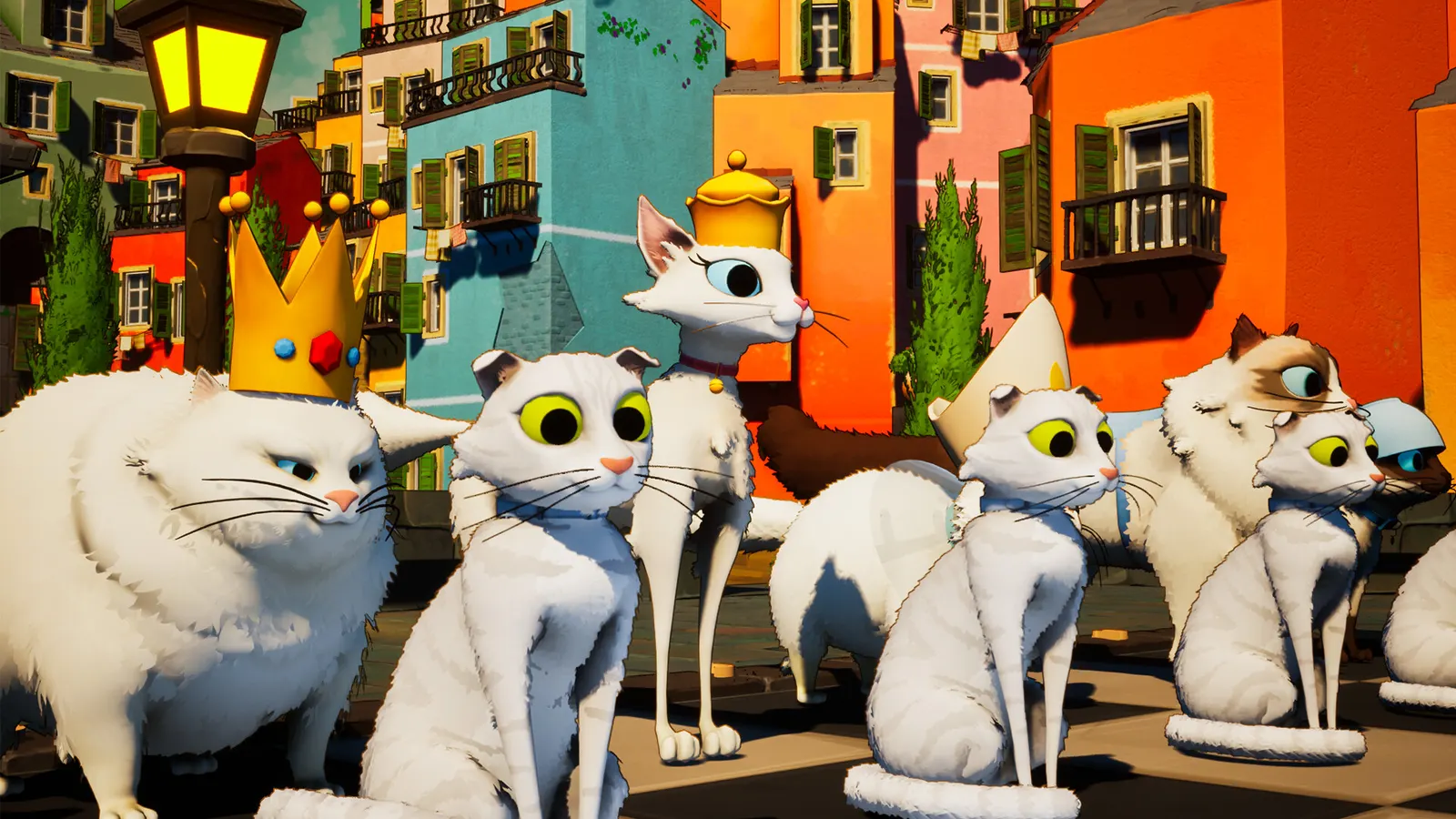 Cat Chess media 12