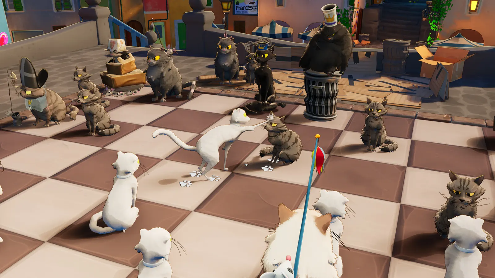 Cat Chess media 14
