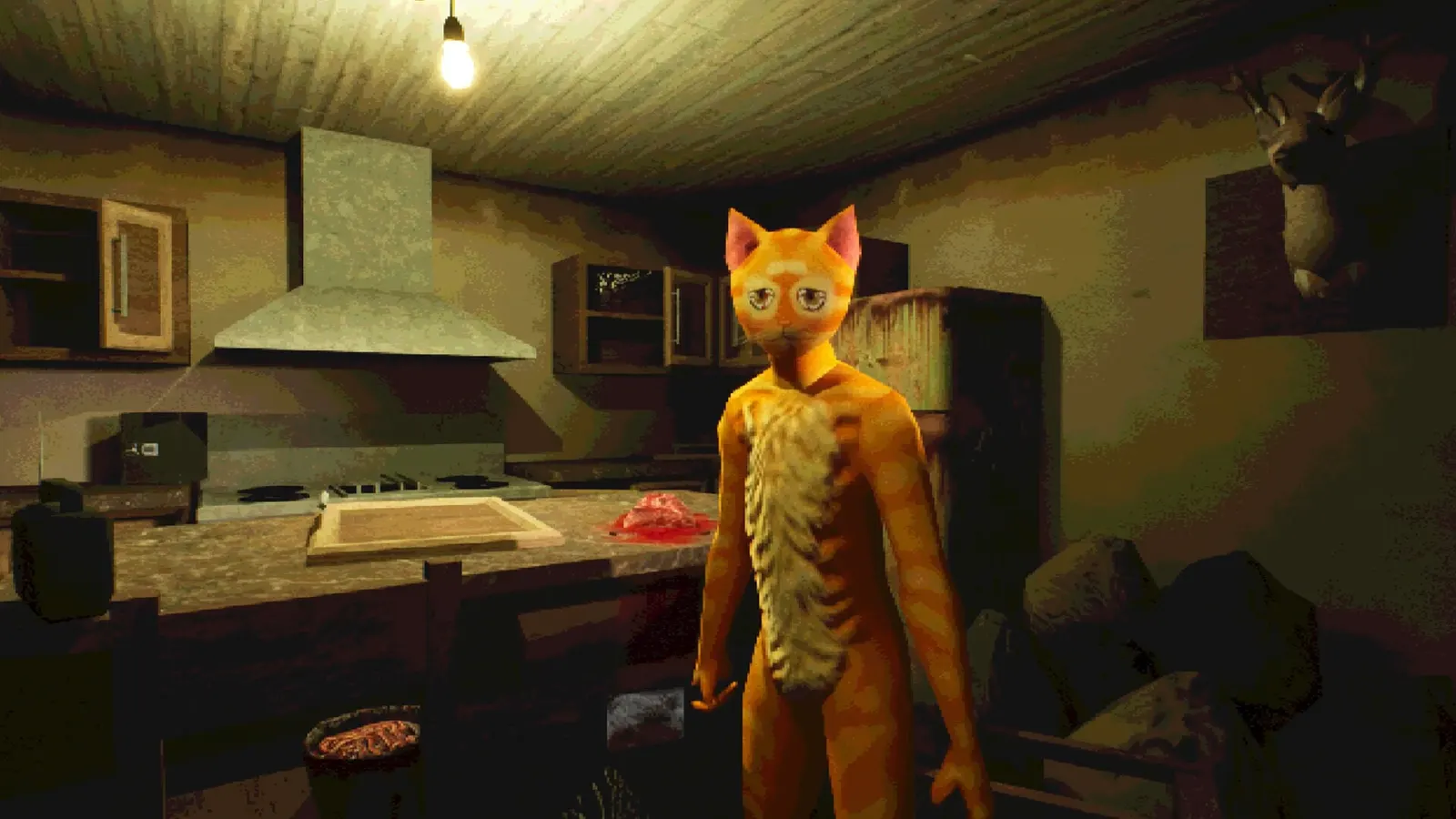 Cat Named Mojave media 12
