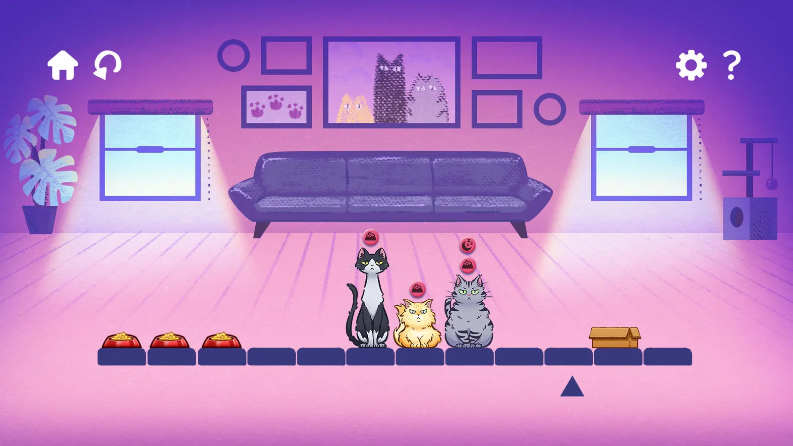 Cat Needs media 4