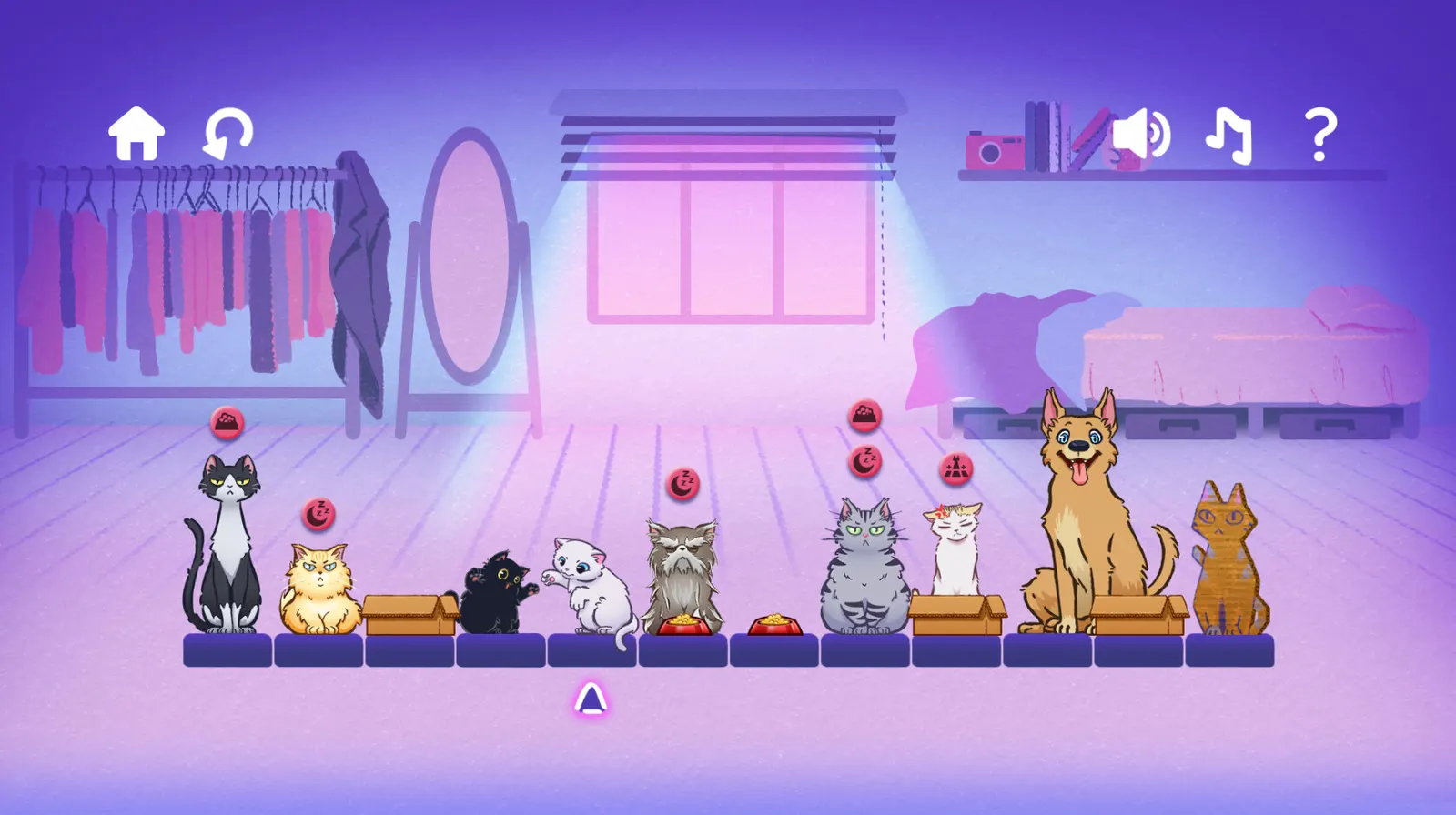 Cat Needs media 3