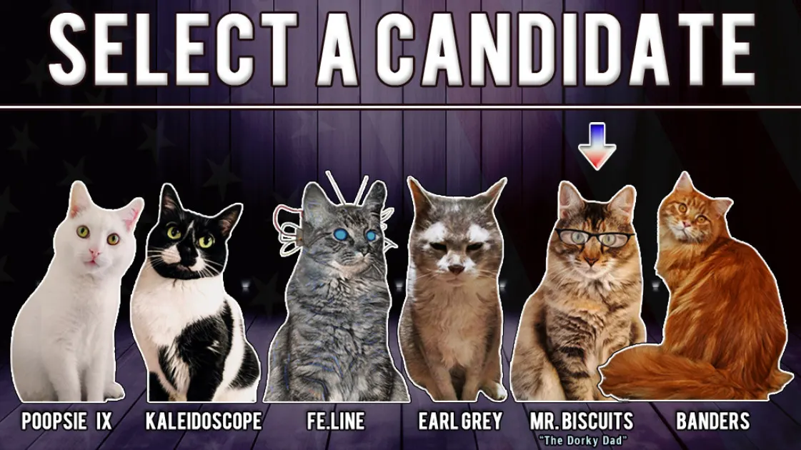Cat President 2: Purrlitical Revolution media 8