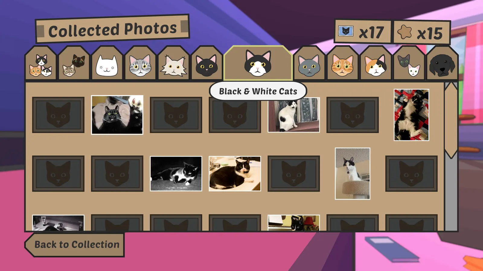 Catlateral Damage: Remeowstered media 13
