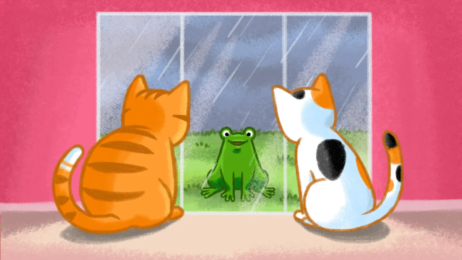 Cats Love Boxes media 8