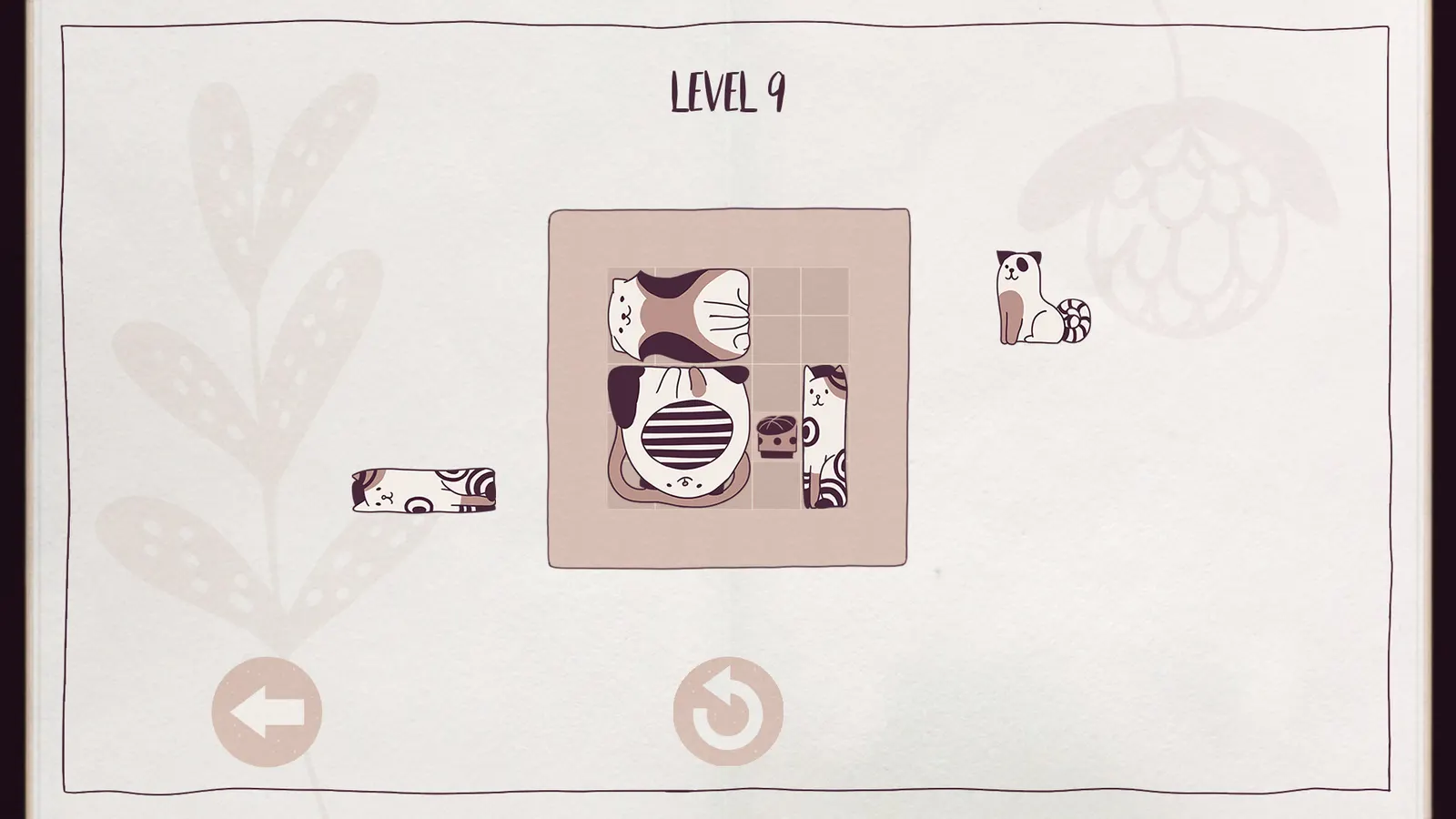 Cats Organized Neatly media 2