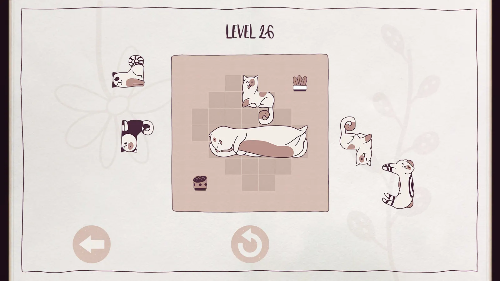 Cats Organized Neatly media 3