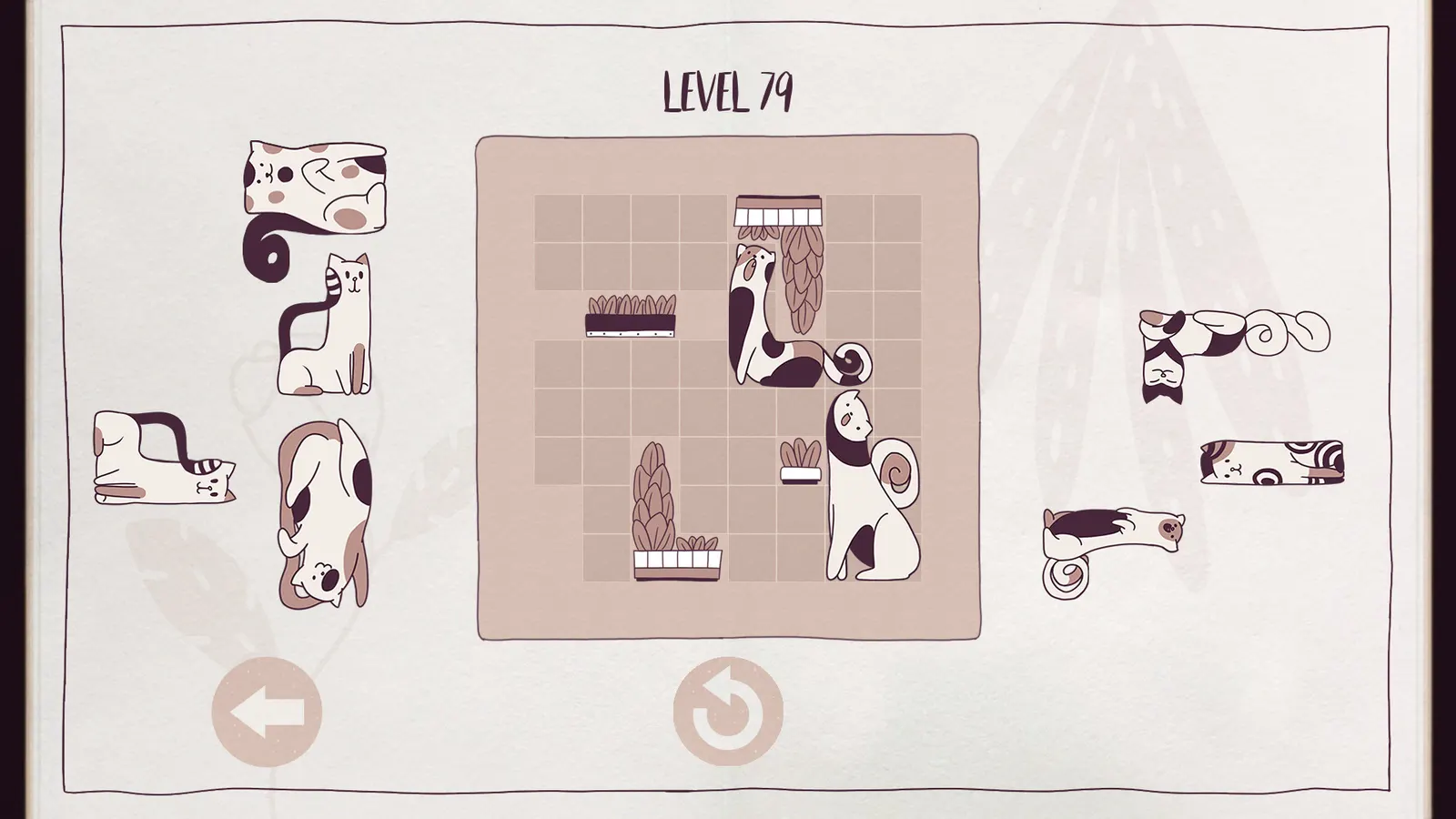 Cats Organized Neatly media 4