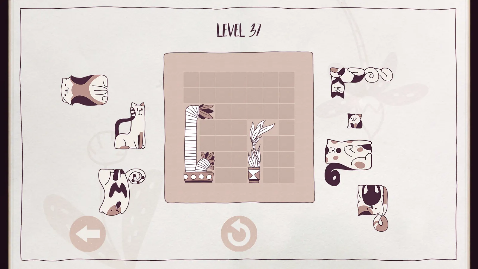 Cats Organized Neatly media 5