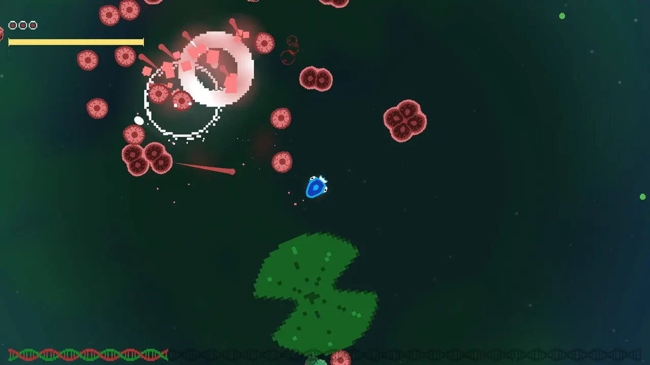 Cellfish media 2
