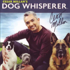 Обкладинка гри Cesar Millan's Dog Whisperer