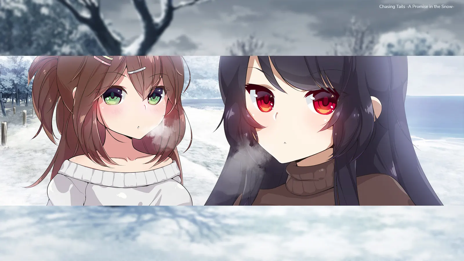 Chasing Tails ~A Promise in the Snow~ media 11