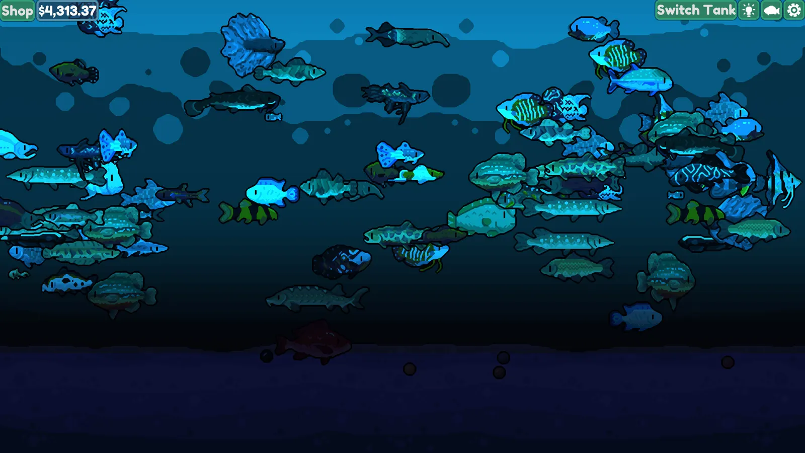 Chillquarium media 8