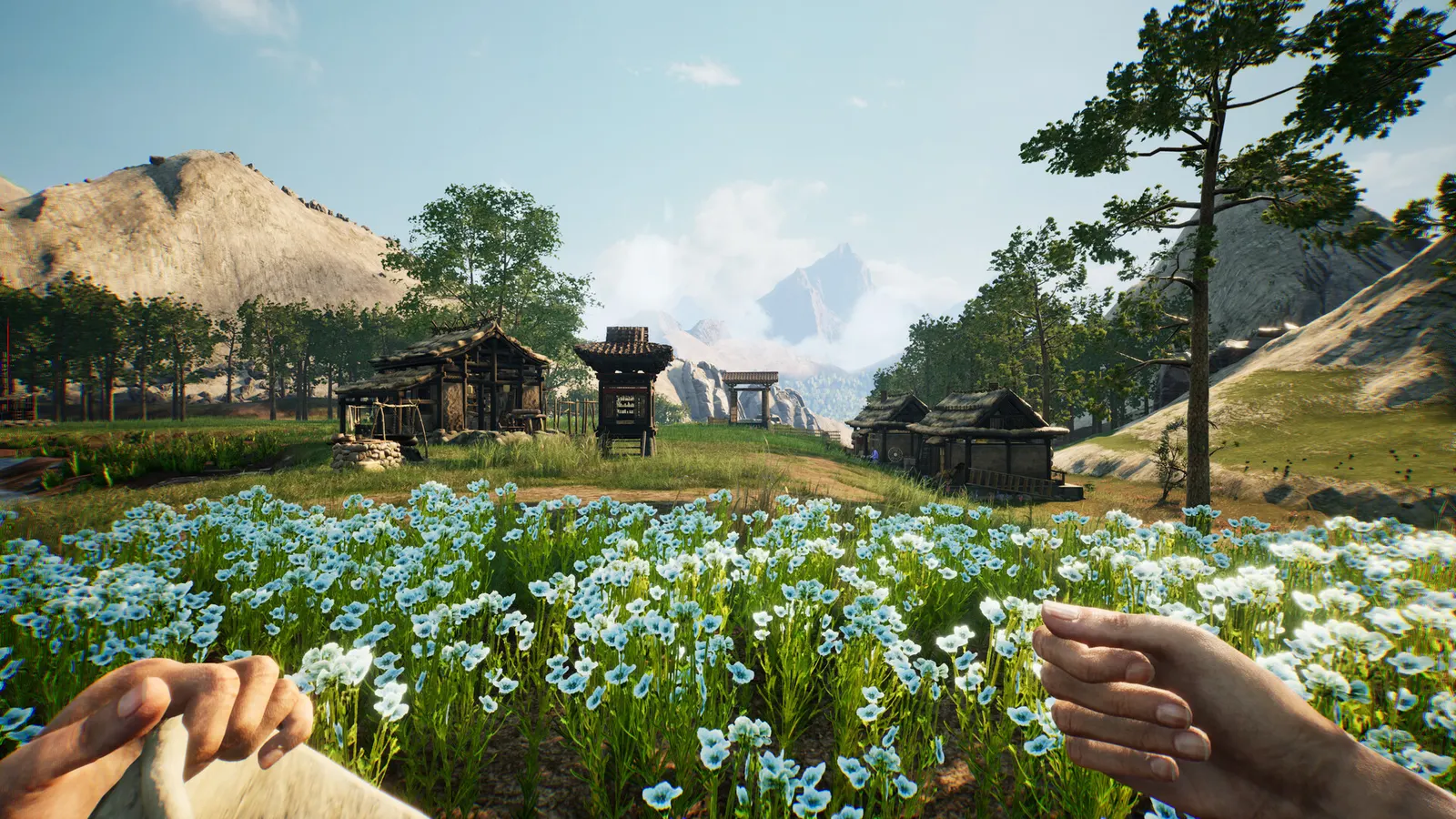 Chinese Frontiers media 15