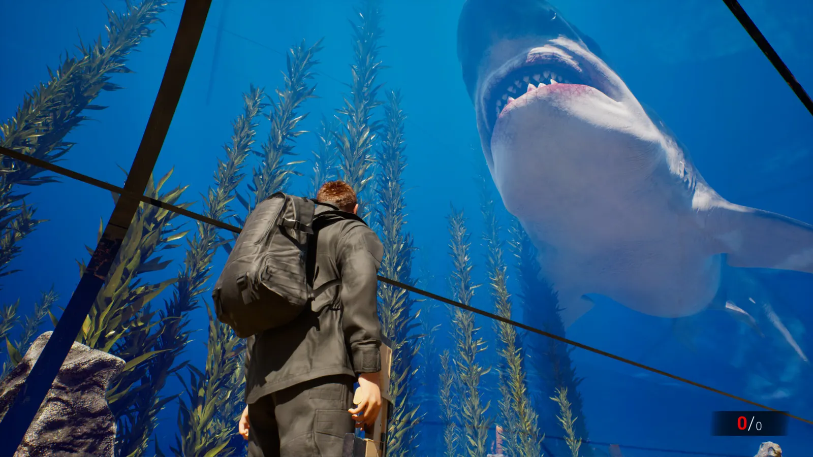 Clawed media 4