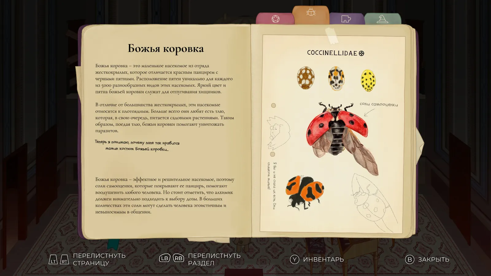 CLeM media 9