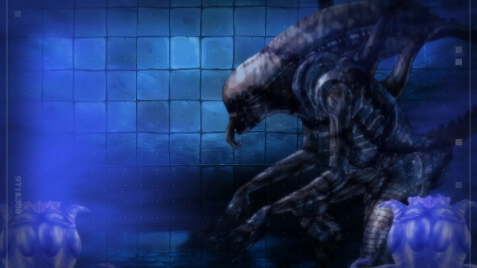 CODE: PANDORA media 2