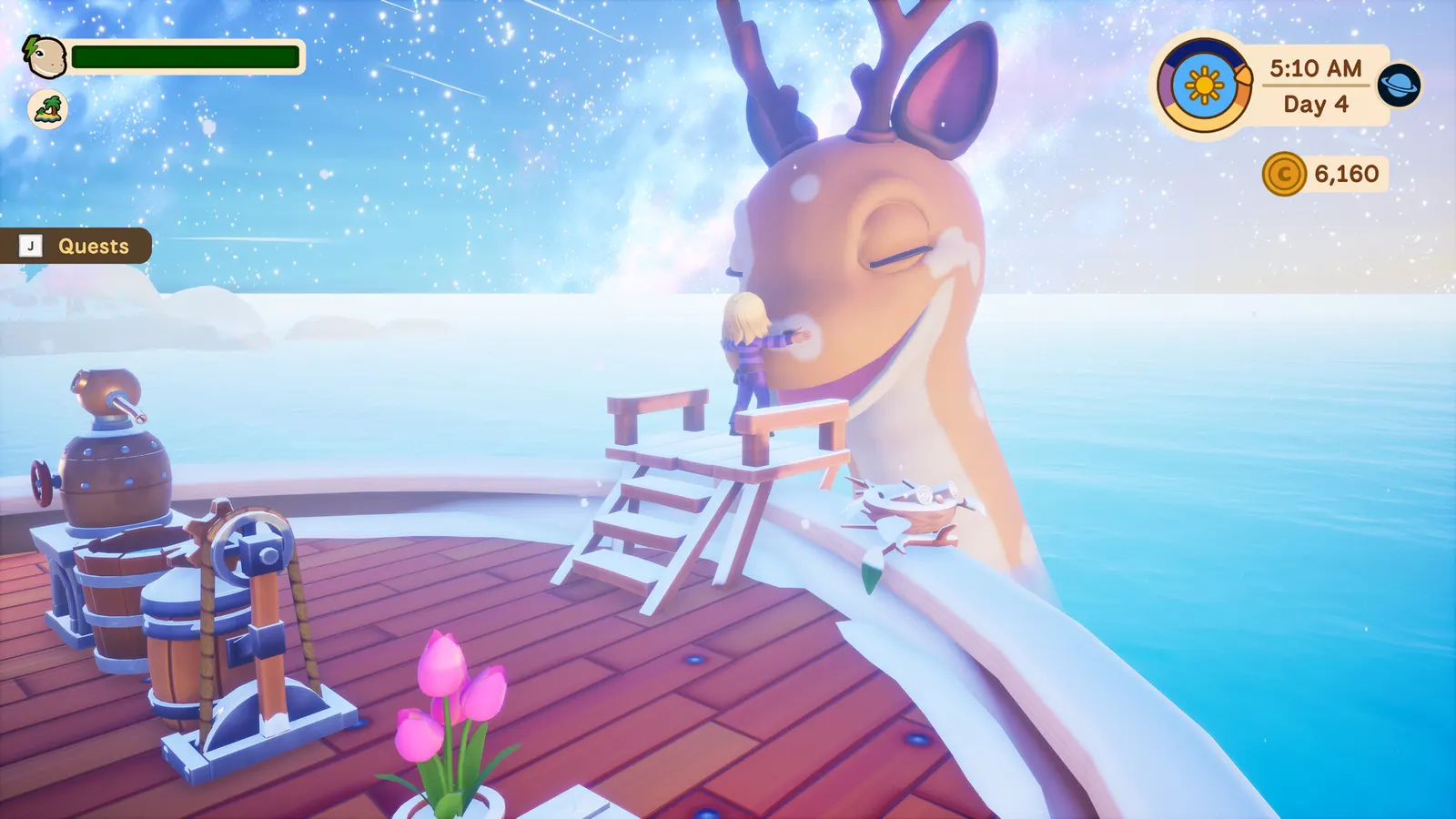 Collector's Cove media 2