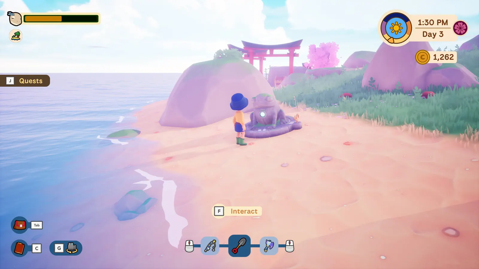 Collector's Cove media 10