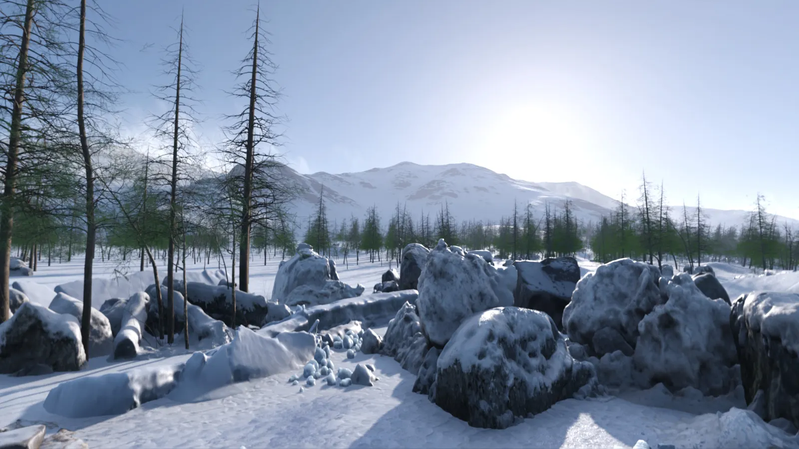 College Bound: Arctic Adventure media 6