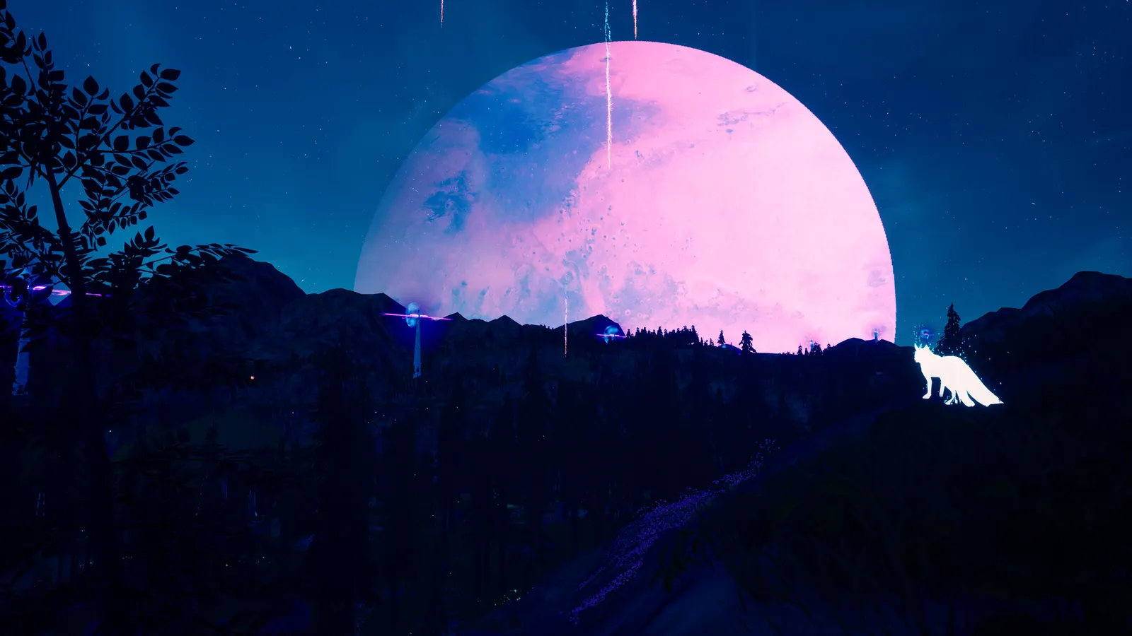 The Companion media 8