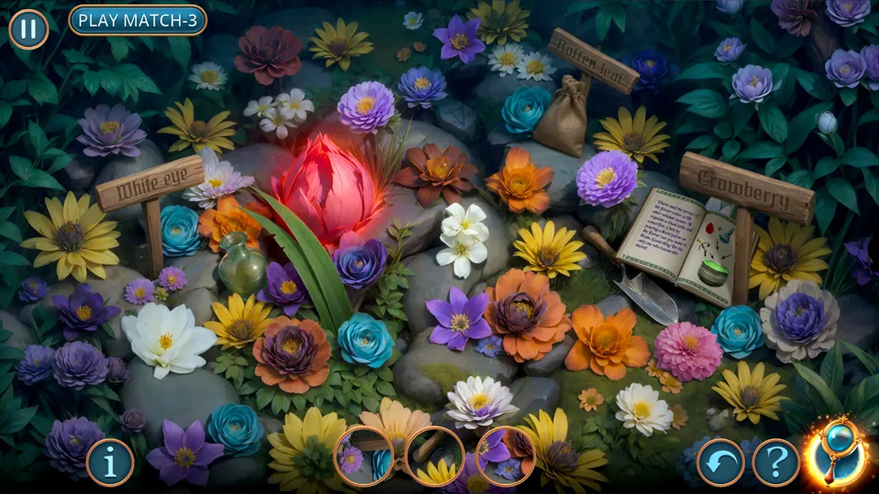 Connected Hearts: Hour of the Witch Collector's Edition media 5