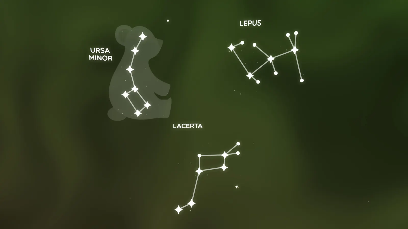 Constellations: Puzzles in the Sky media 6
