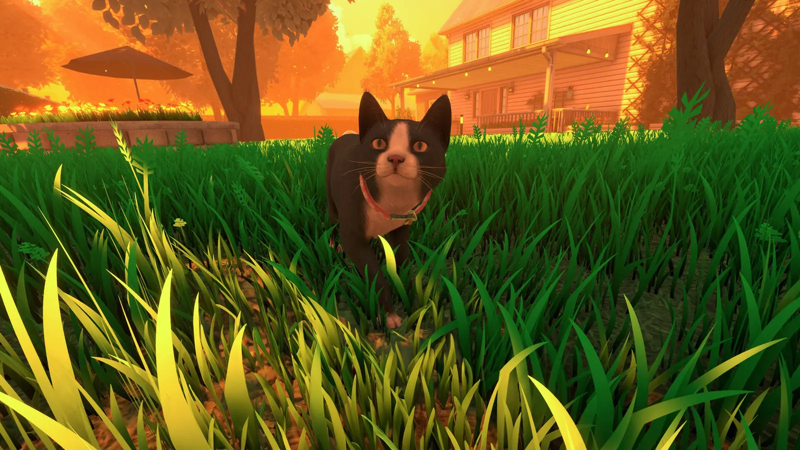 Copycat media 9