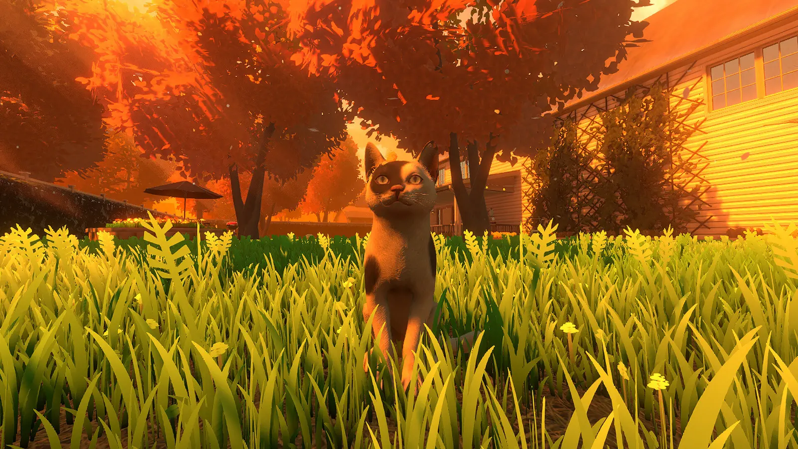 Copycat media 13
