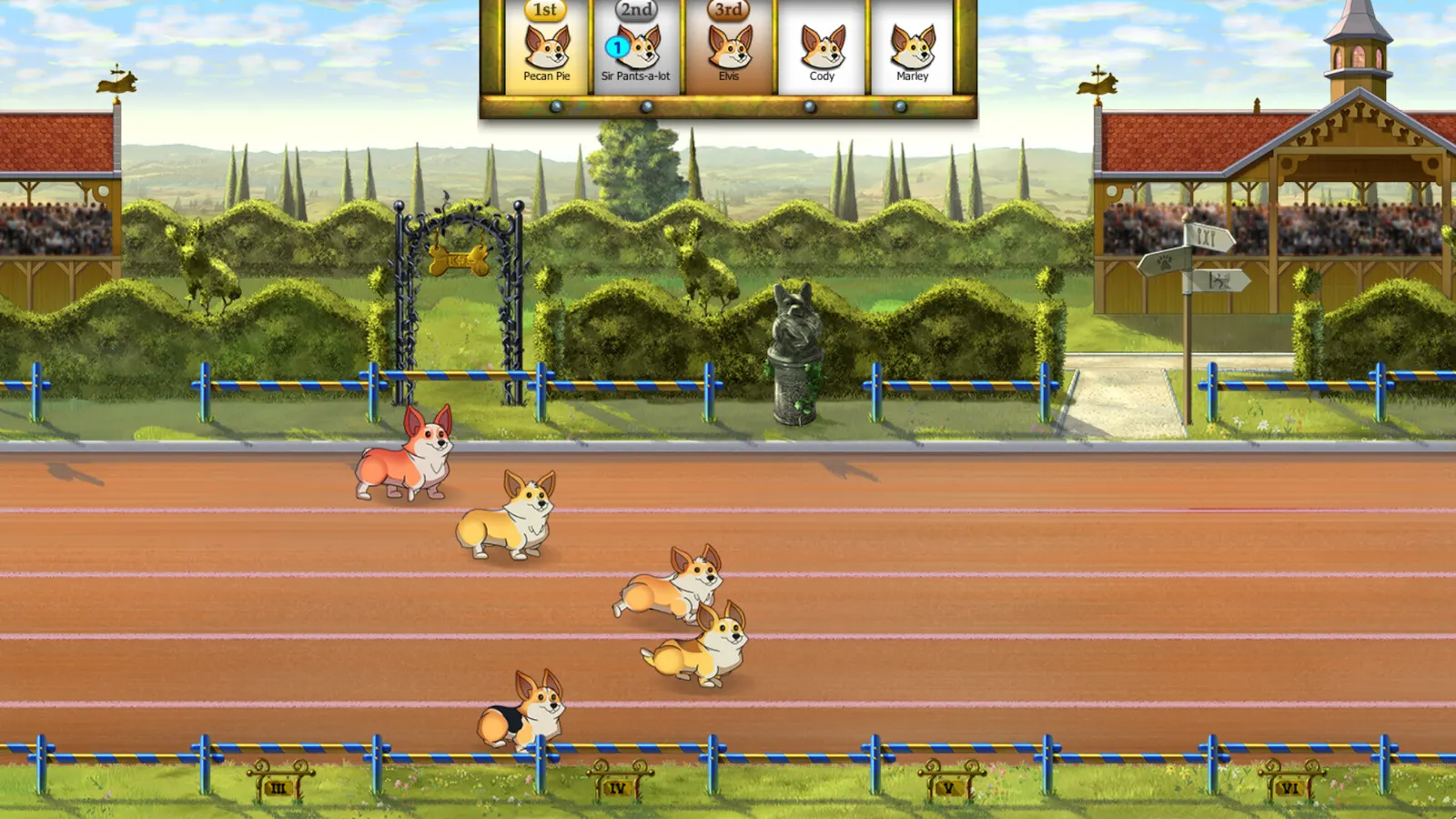 Corgi Race media 2