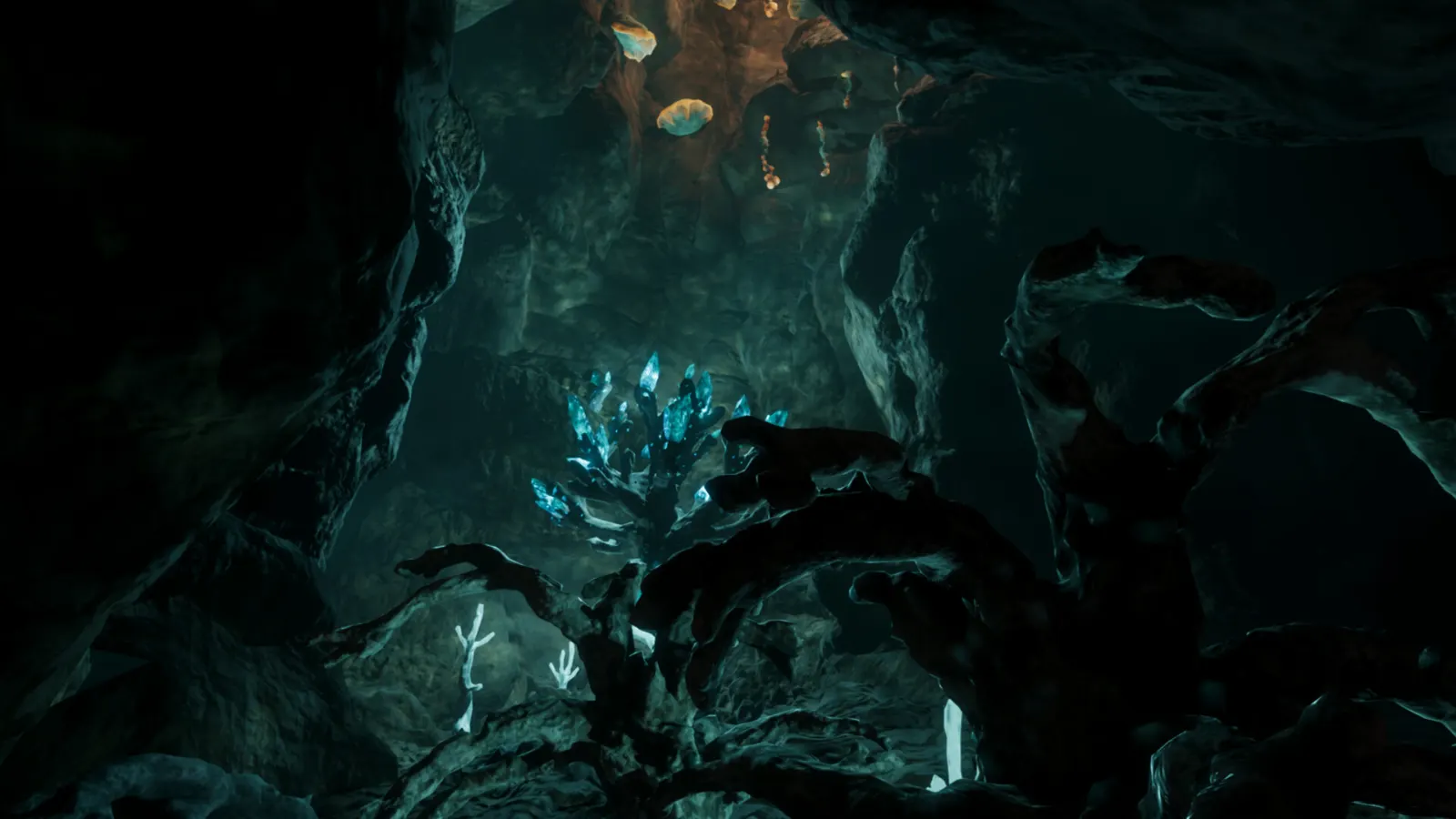 Cosminers media 13