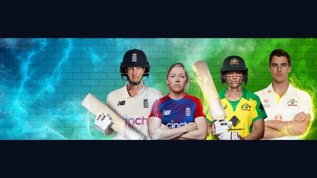 Cricket 22