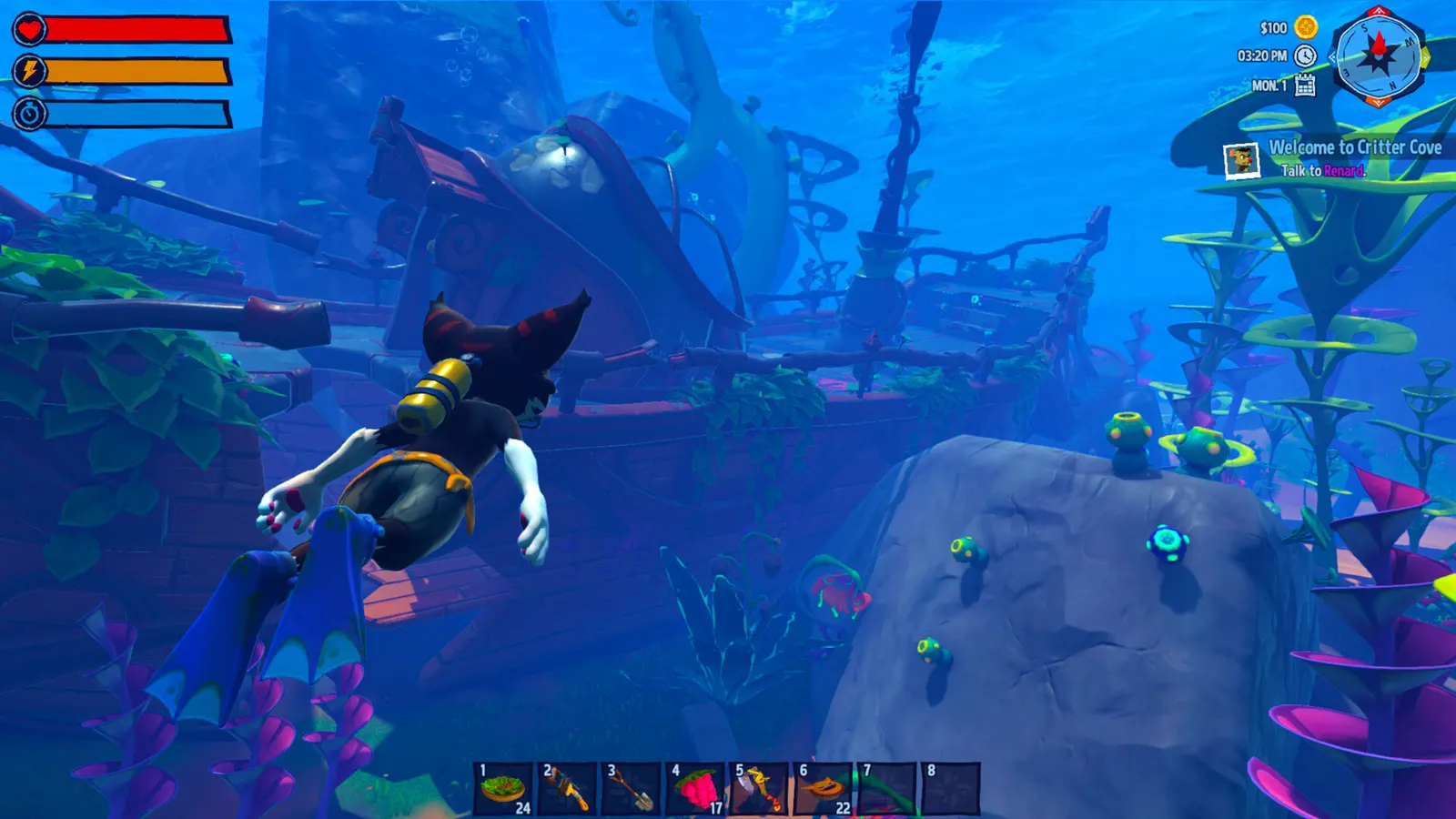 Critter Cove media 2