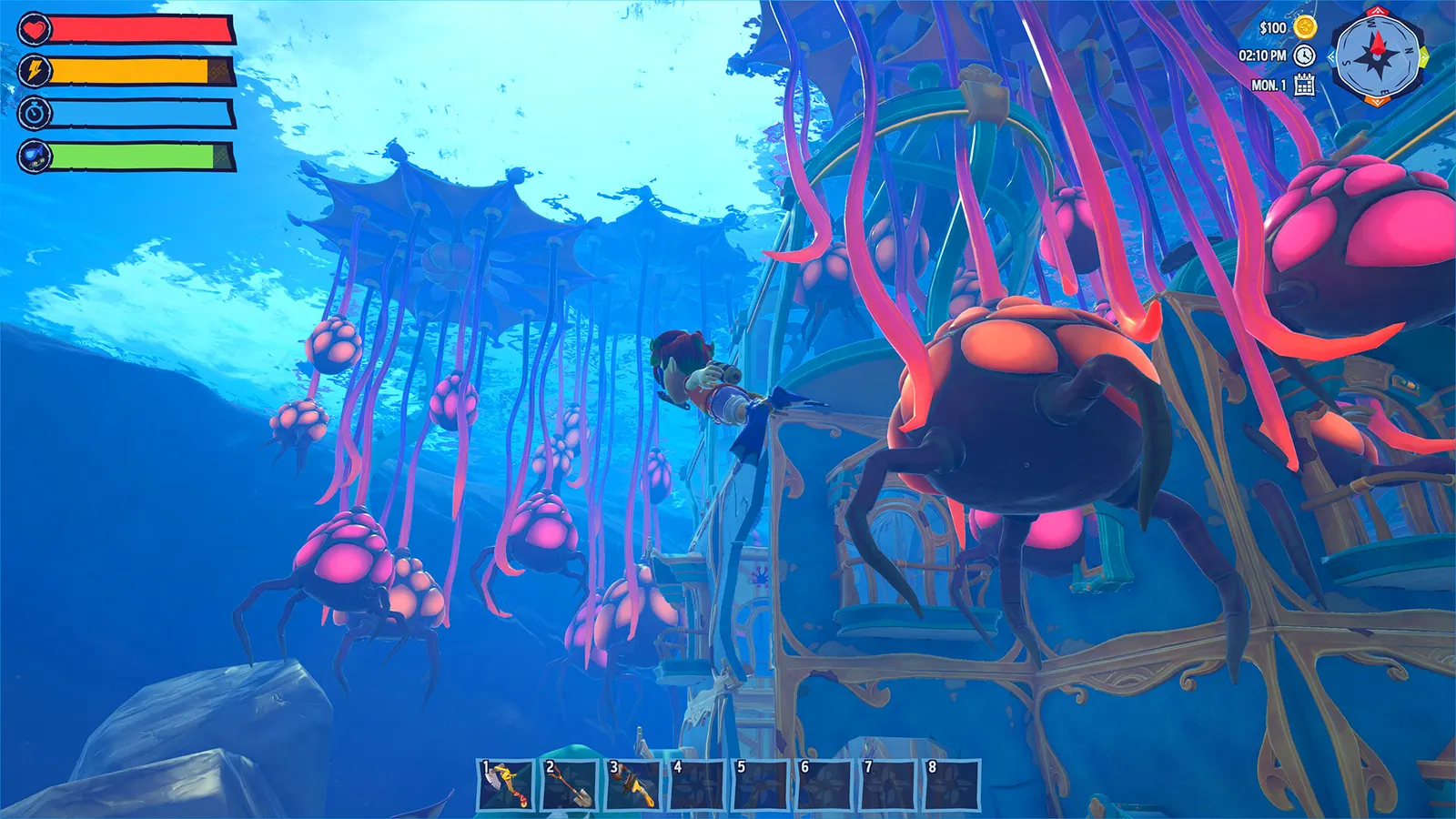 Critter Cove media 12