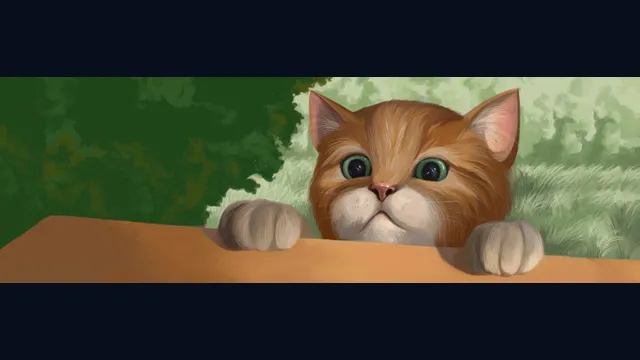 Cute Cats