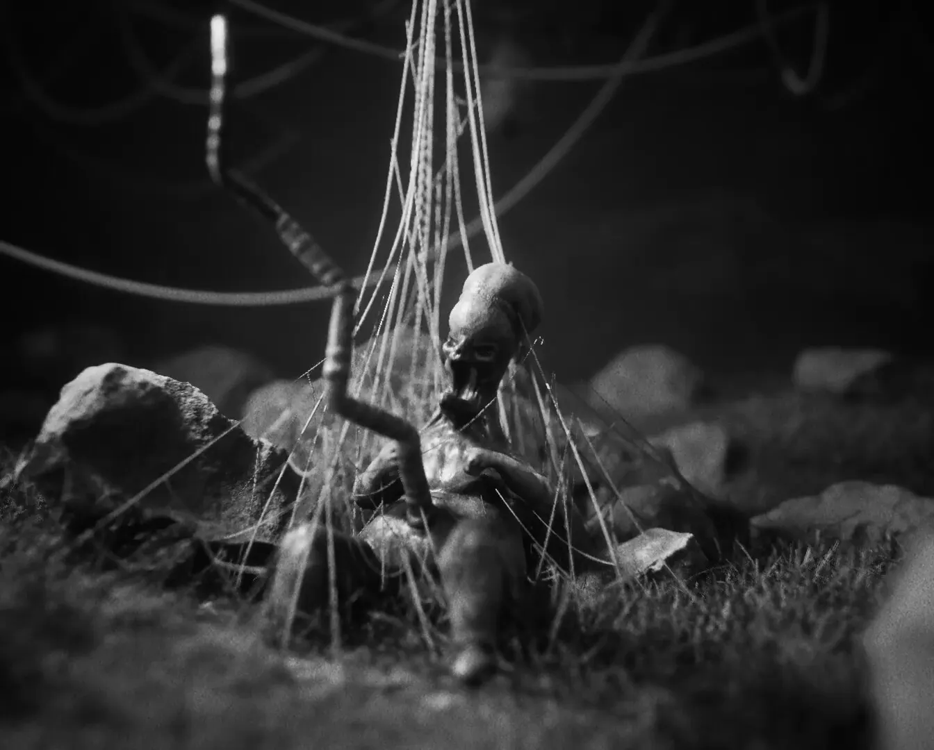 Daemonologie media 5