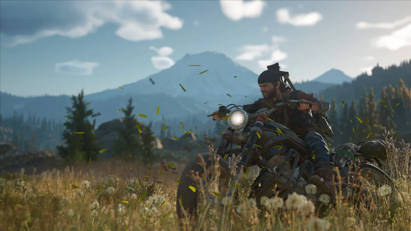 Days Gone media 9
