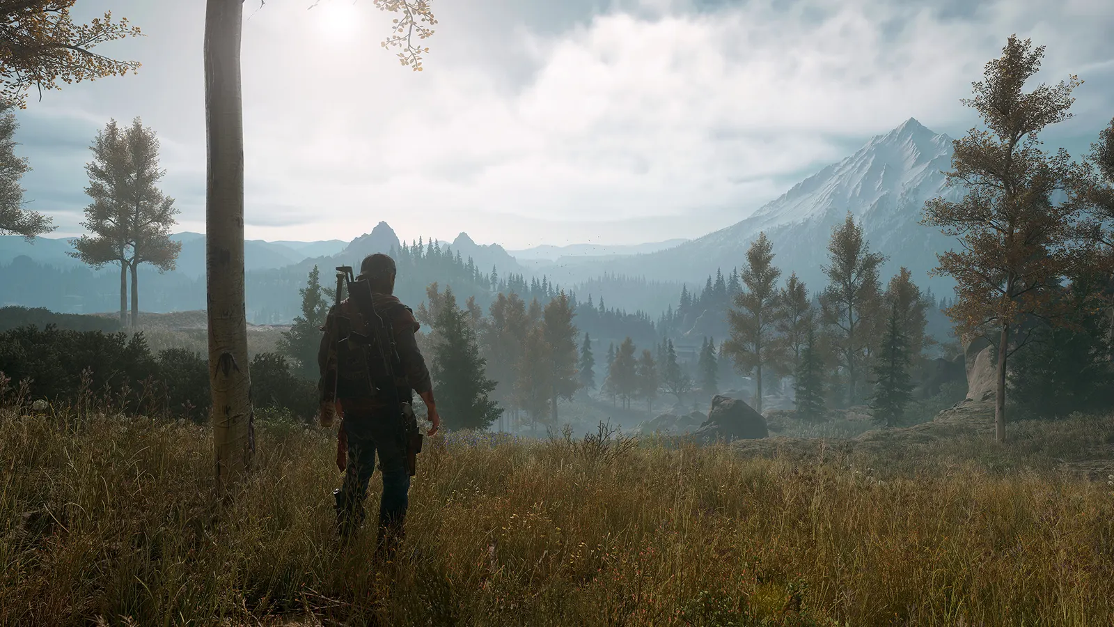 Days Gone media 12