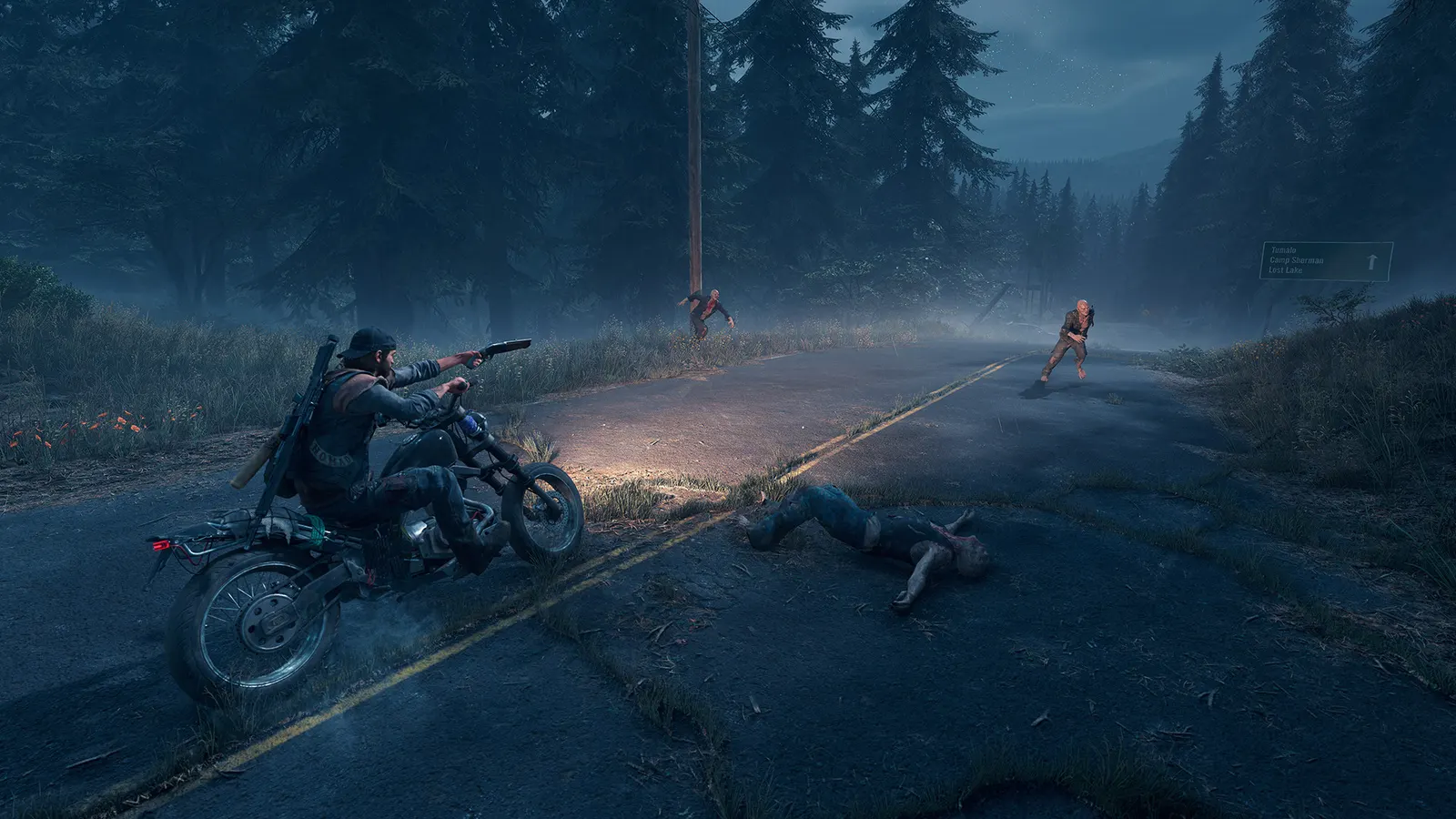 Days Gone media 13