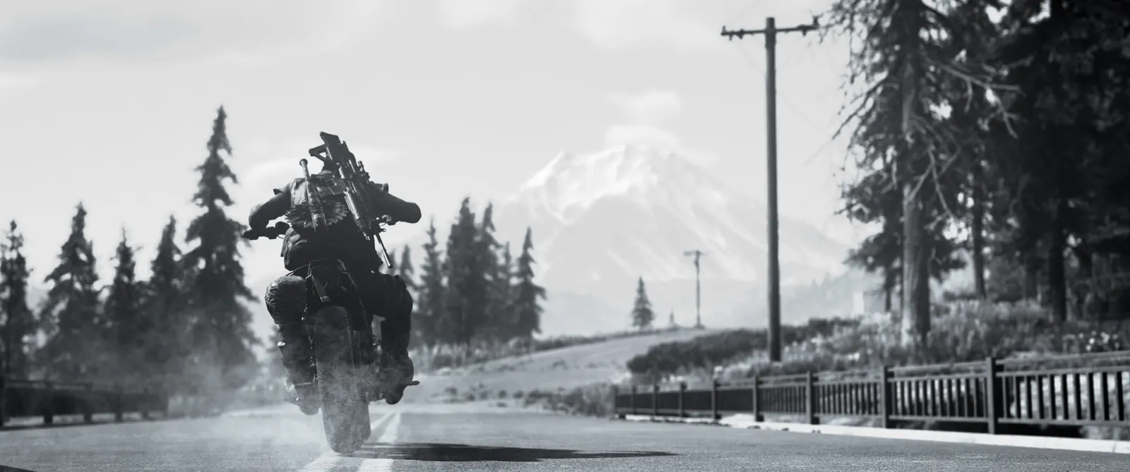 Days Gone media 14