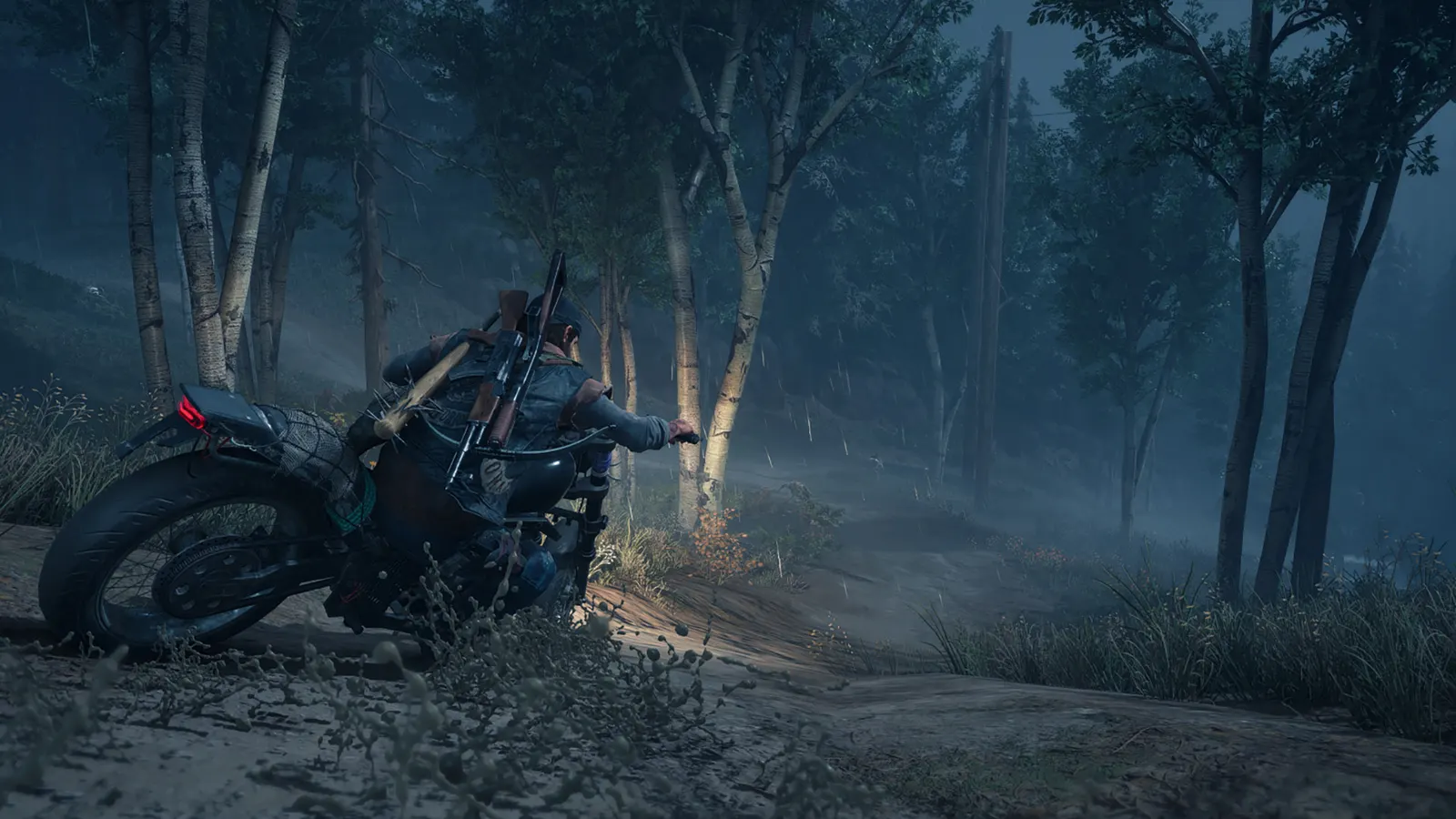 Days Gone media 17